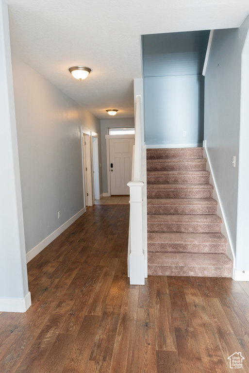 Stairway with hardwood / wood-style flooring
