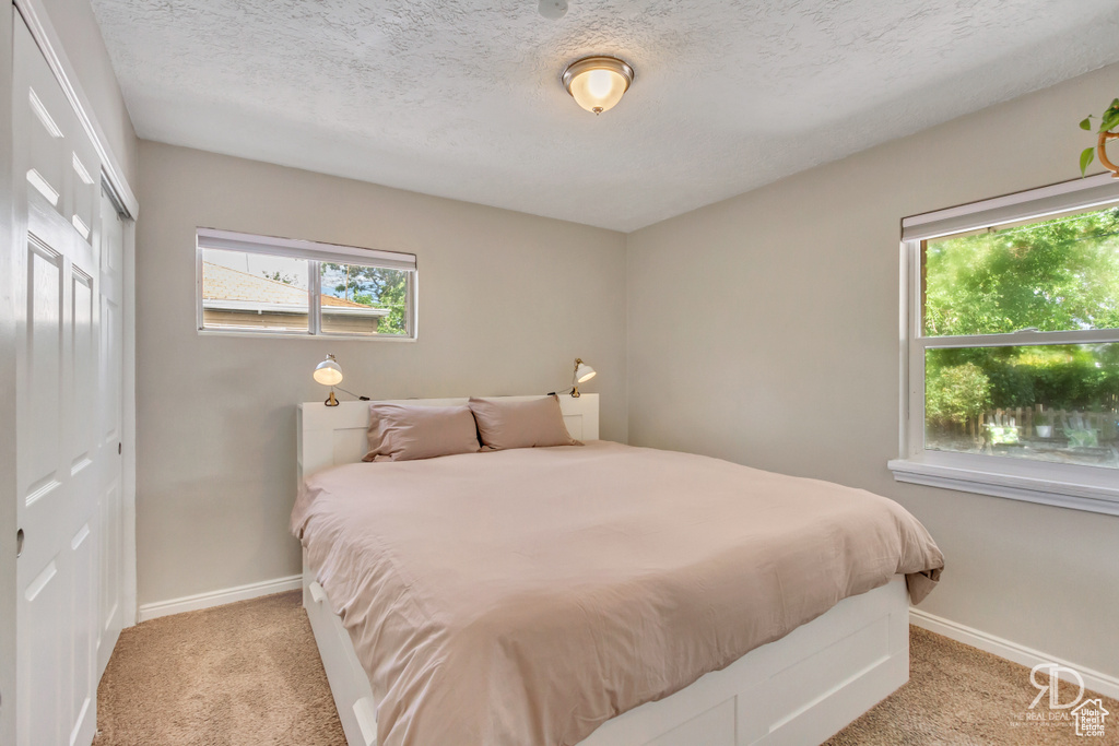 Carpeted bedroom featuring a closet, a textured ceiling, and multiple windows