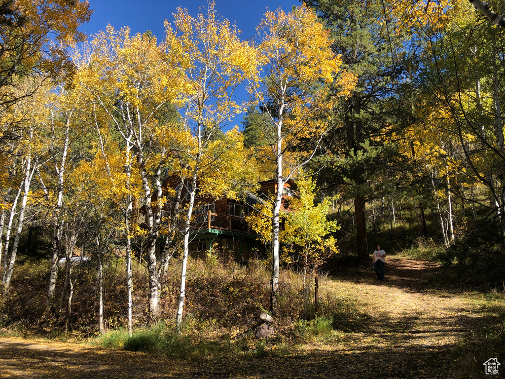 51 ASPEN LOOP #51&52 Oakley, UT 84055