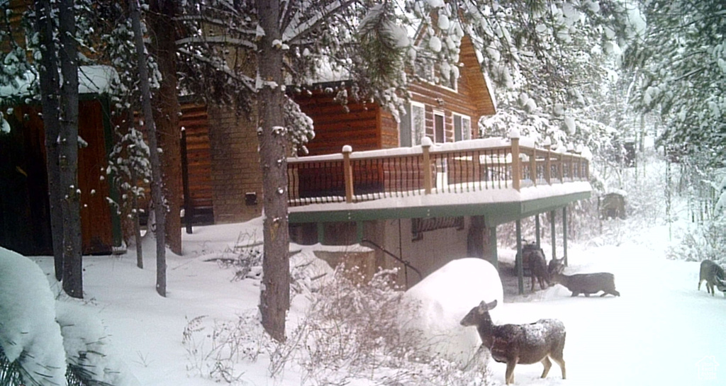 51 ASPEN LOOP #51&52 Oakley, UT 84055