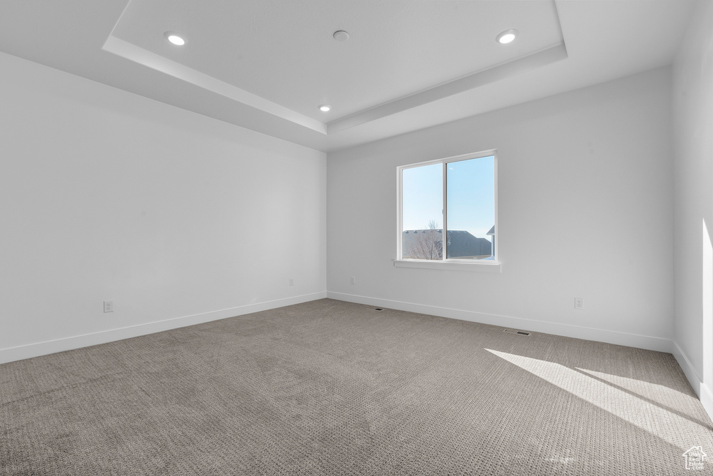 Spare room featuring carpet and a raised ceiling