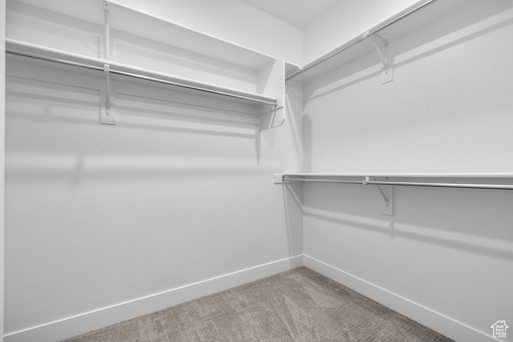 Spacious closet with carpet floors