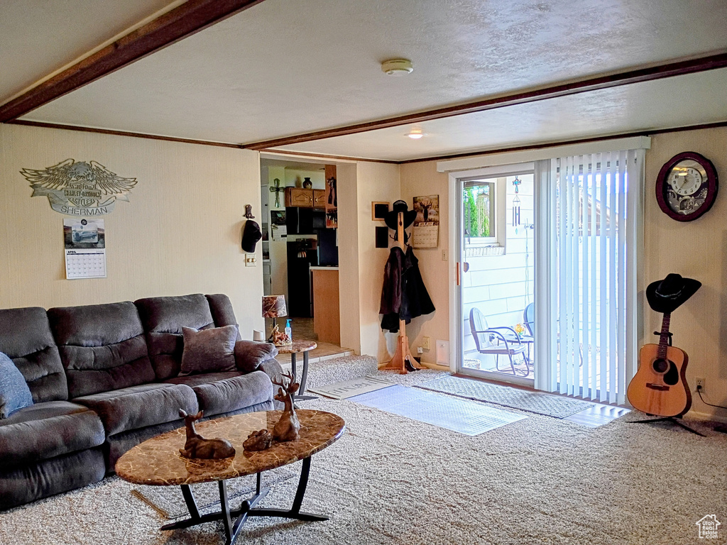 Carpeted living area featuring ornamental molding