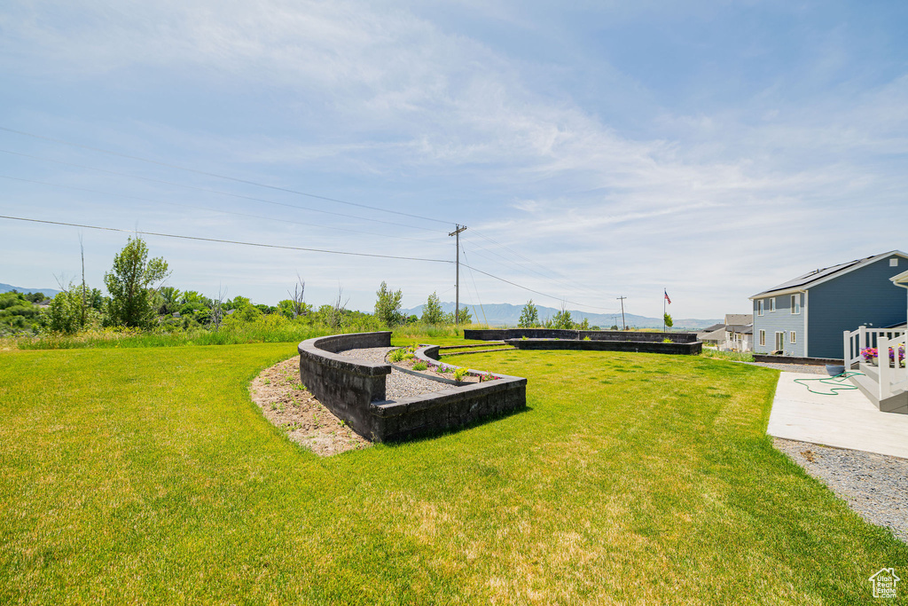 View of green lawn