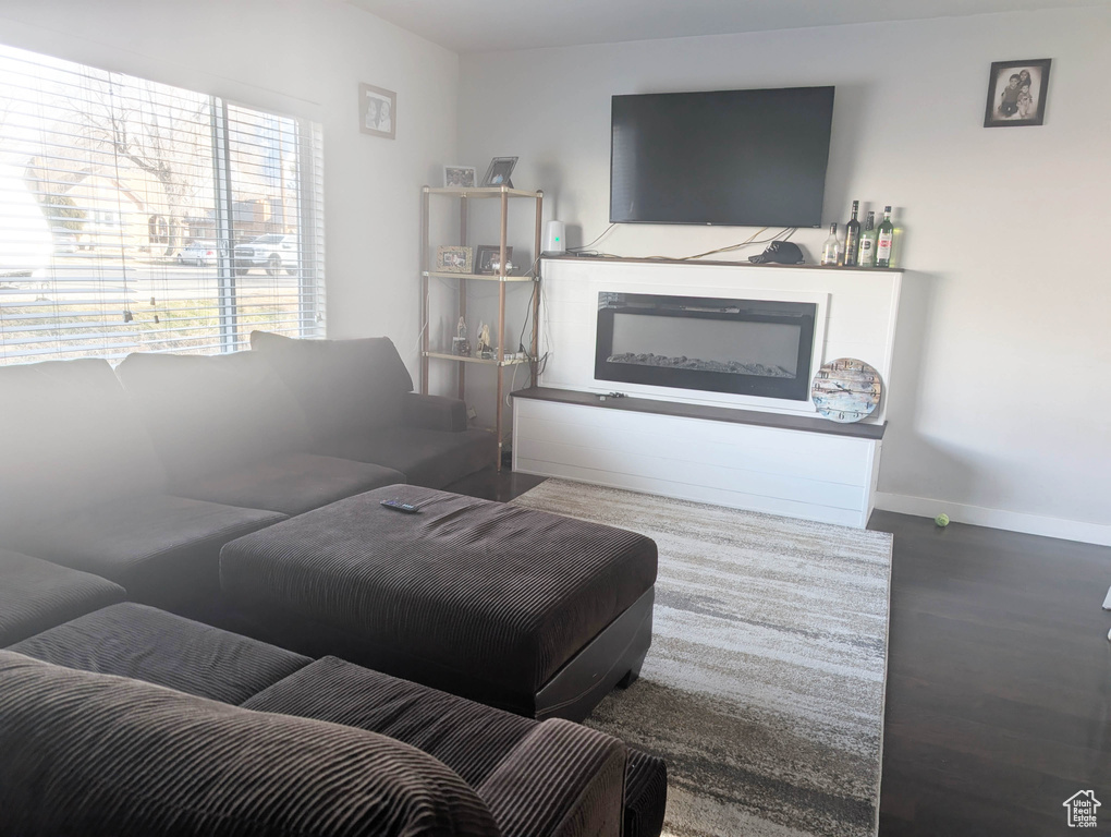 Living room featuring hardwood / wood-style flooring