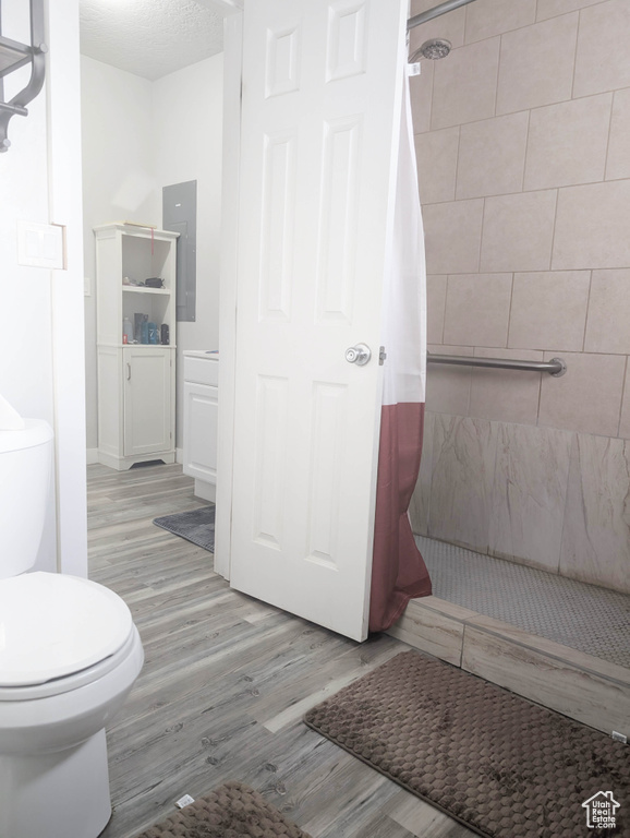 Bathroom featuring hardwood / wood-style flooring, a shower with curtain, toilet, and electric panel