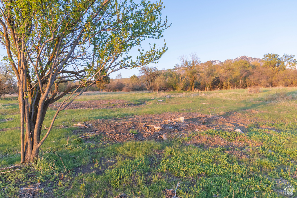 View of yard featuring a mountain view
