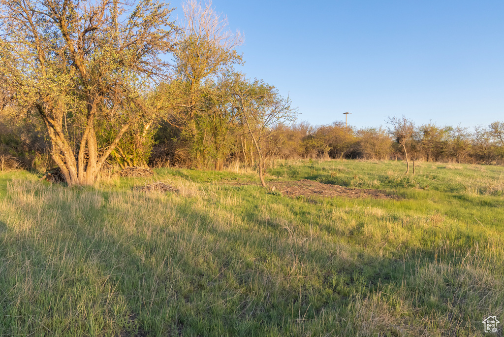 View of landscape featuring a rural view