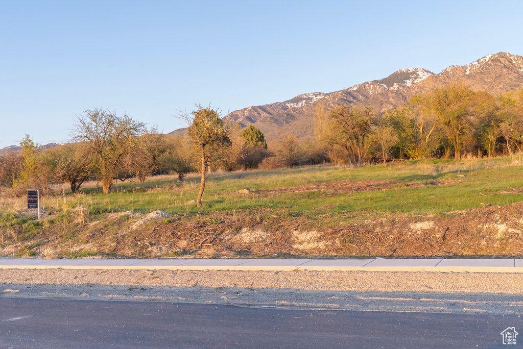 View of mountain feature featuring a rural view