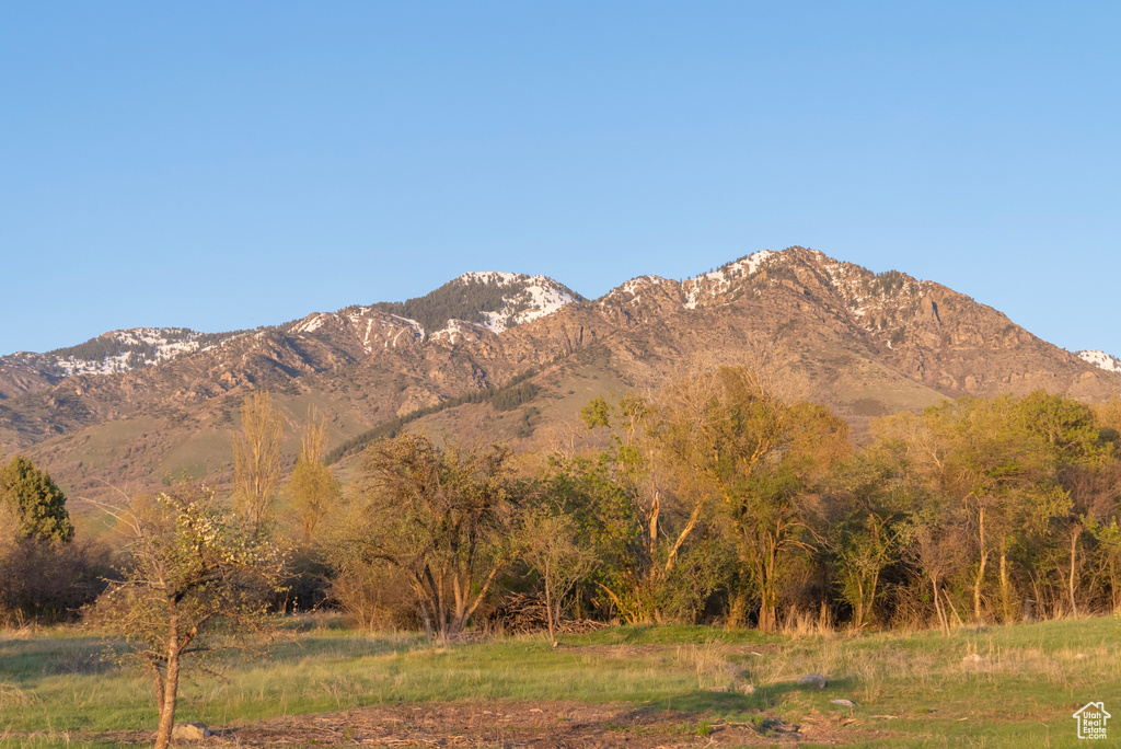 Mountain view