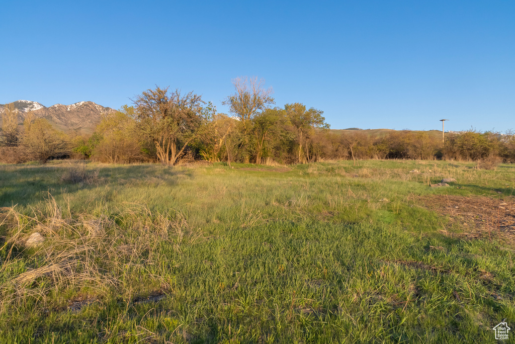 View of local wilderness with a rural view and a mountain view