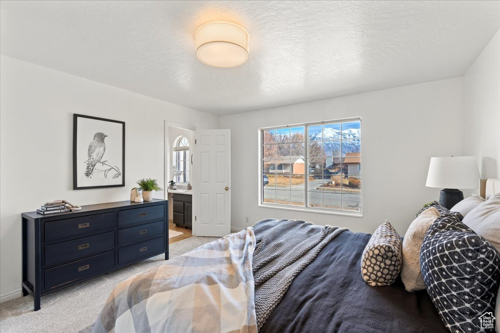 Carpeted bedroom with ensuite bathroom and a textured ceiling