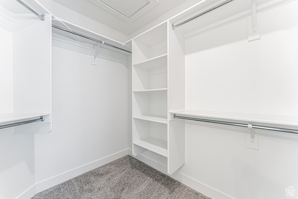 Walk in closet with carpet floors