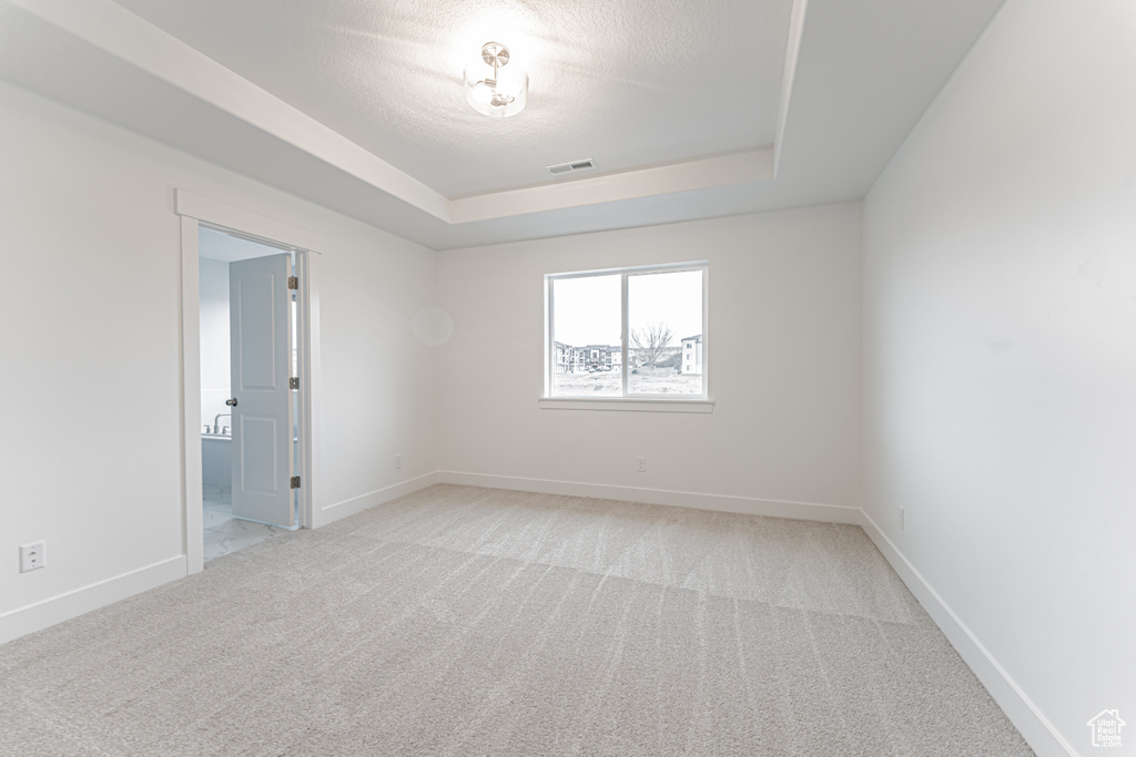 Spare room featuring a raised ceiling, light colored carpet, visible vents, and baseboards