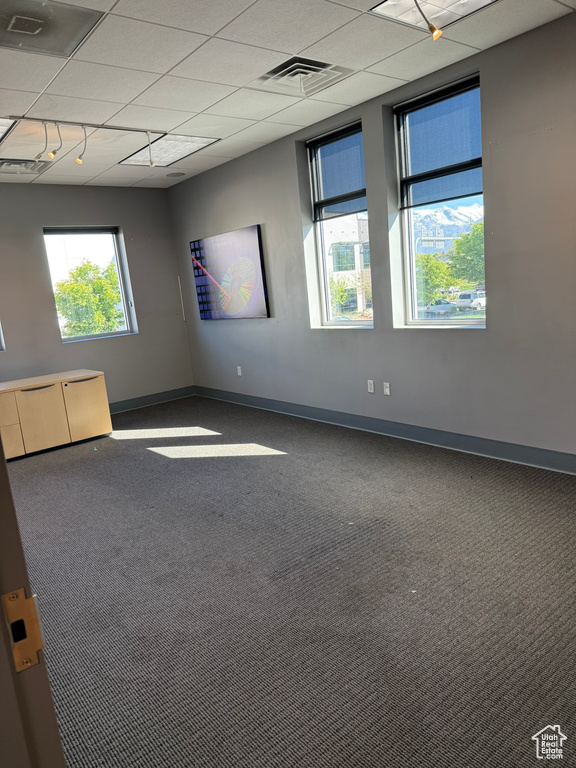 Empty room featuring baseboards, carpet, a drop ceiling, and visible vents