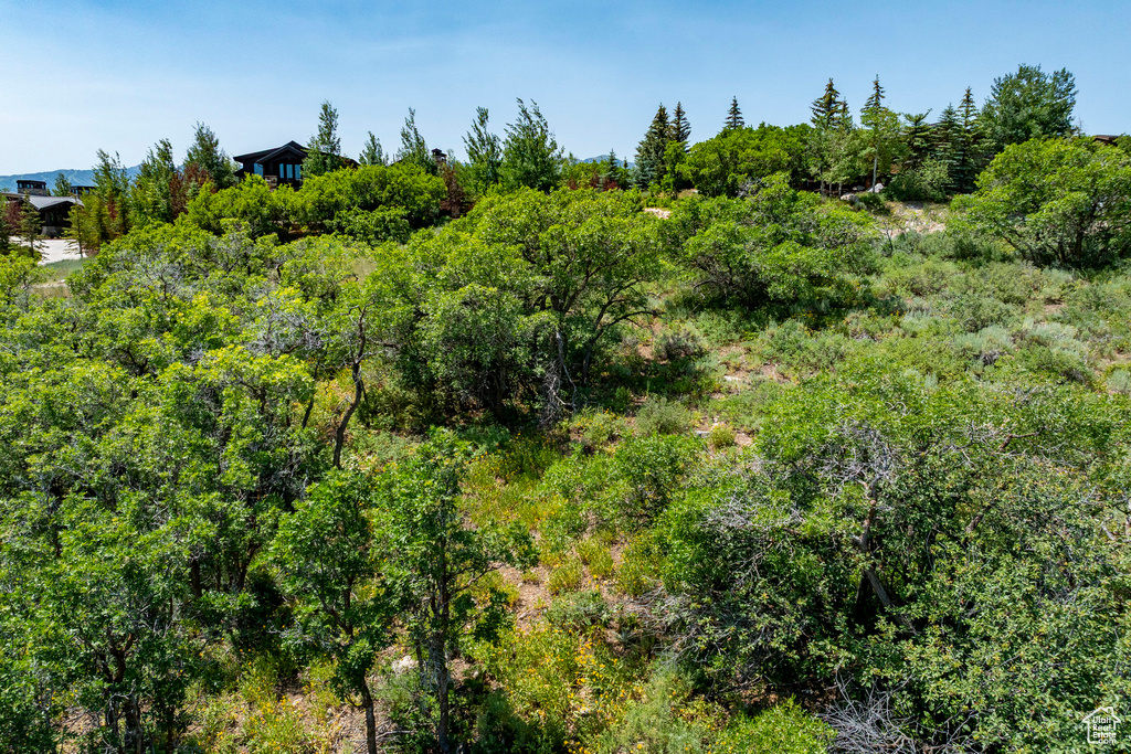 1146 SNOW BERRY ST #62 Park City, UT 84098