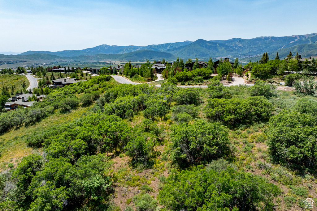 1146 SNOW BERRY ST #62 Park City, UT 84098