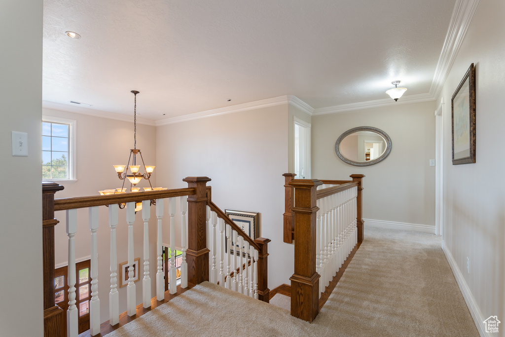 Corridor with an upstairs landing, a chandelier, carpet floors, and ornamental molding