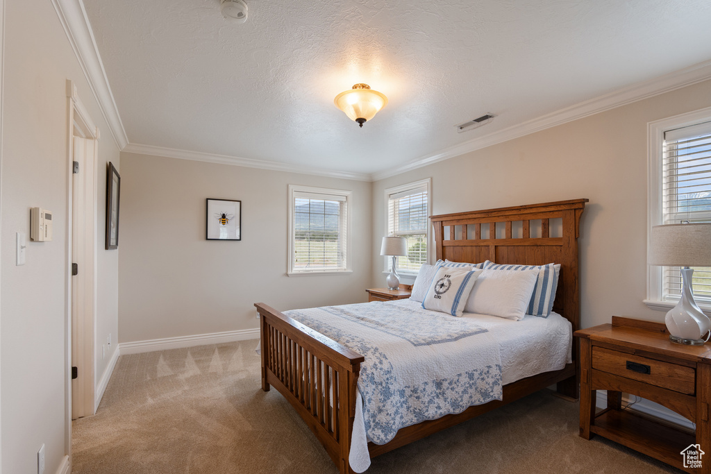 Bedroom with light carpet, crown molding, and multiple windows