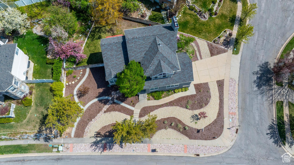 Bird\'s eye view