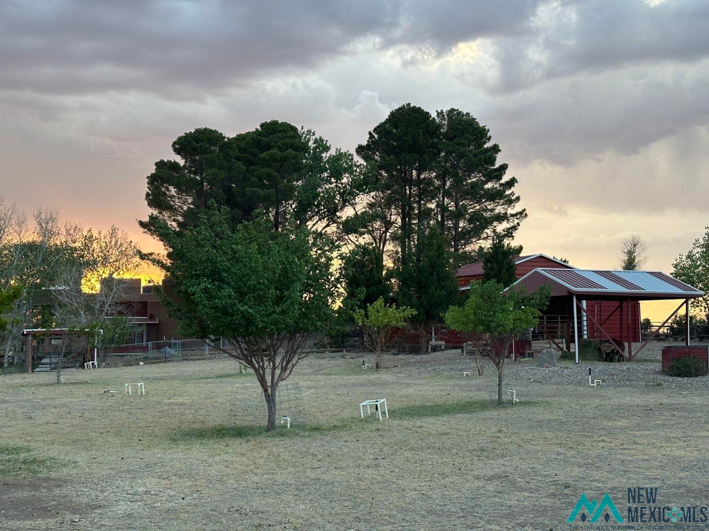 Photo #42