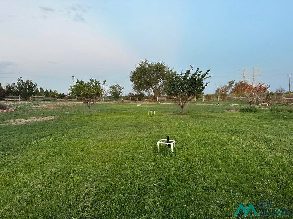 Photo #41