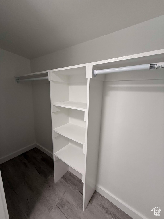 Spacious closet with hardwood / wood-style floors