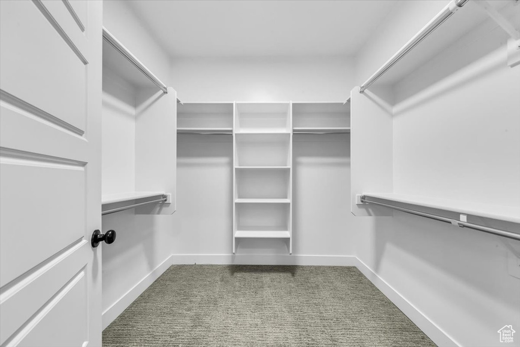 Spacious closet with carpet floors