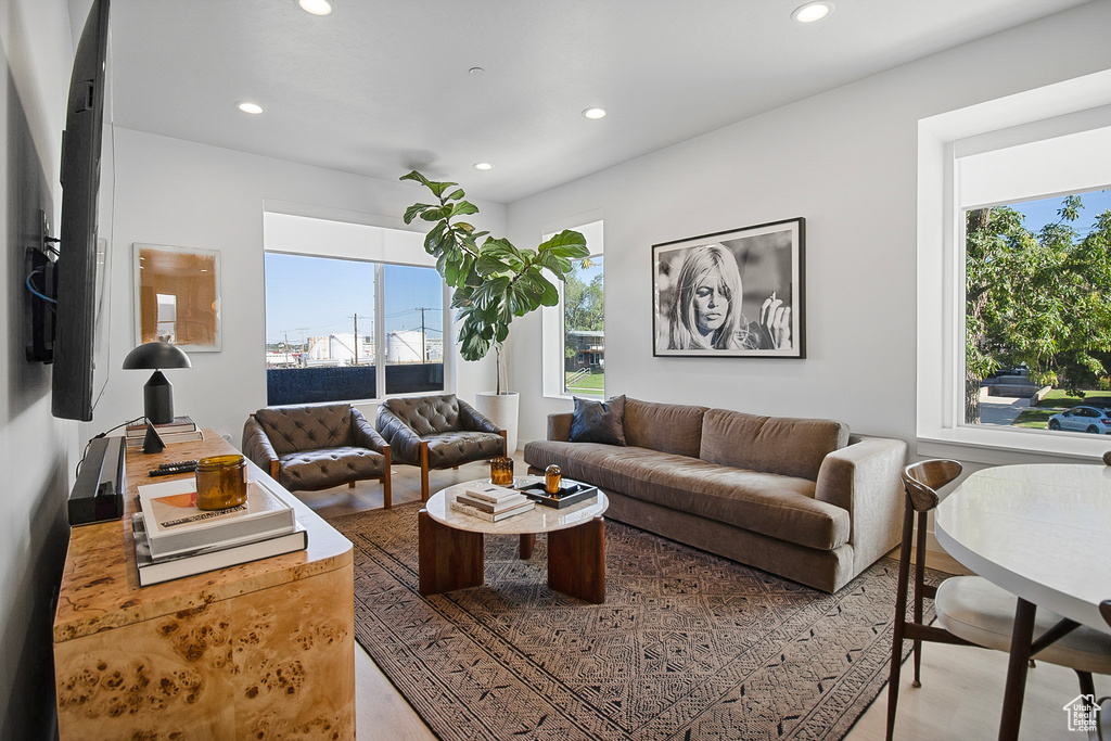 Living room featuring wood-type flooring