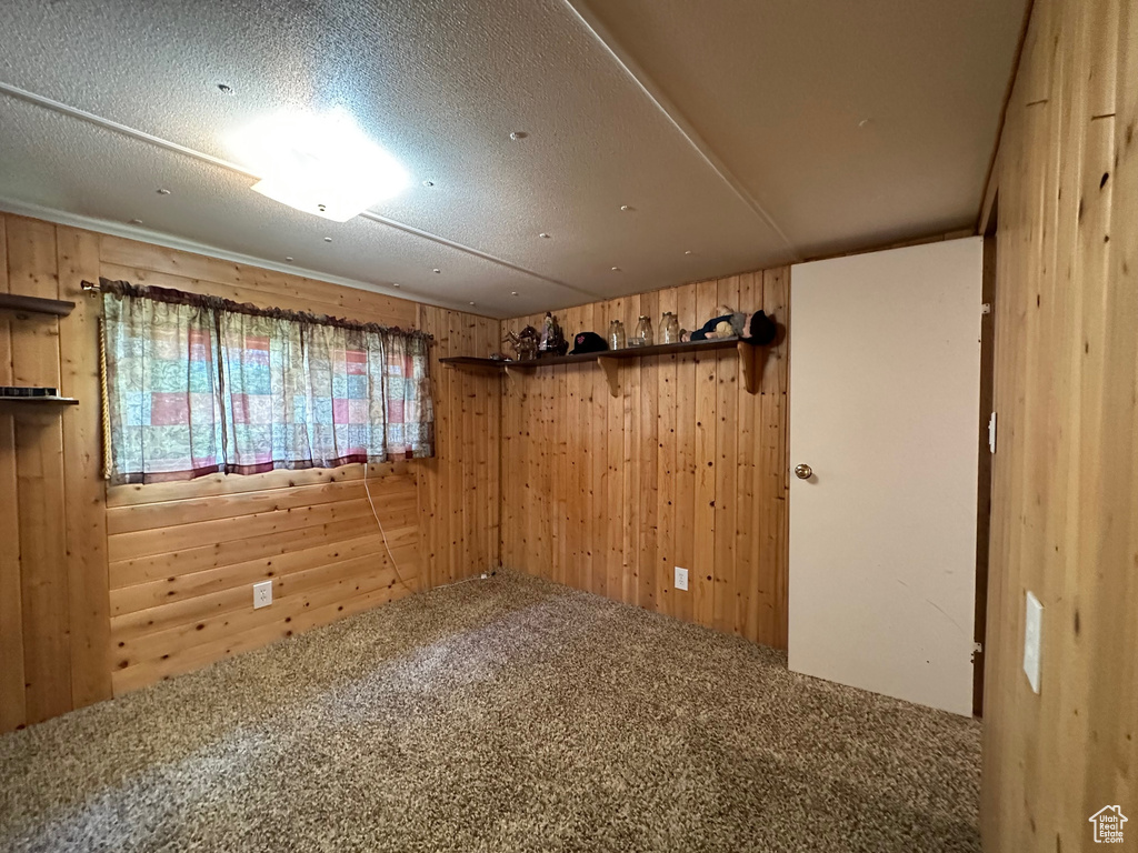 Basement featuring carpet floors, a textured ceiling, and wooden walls