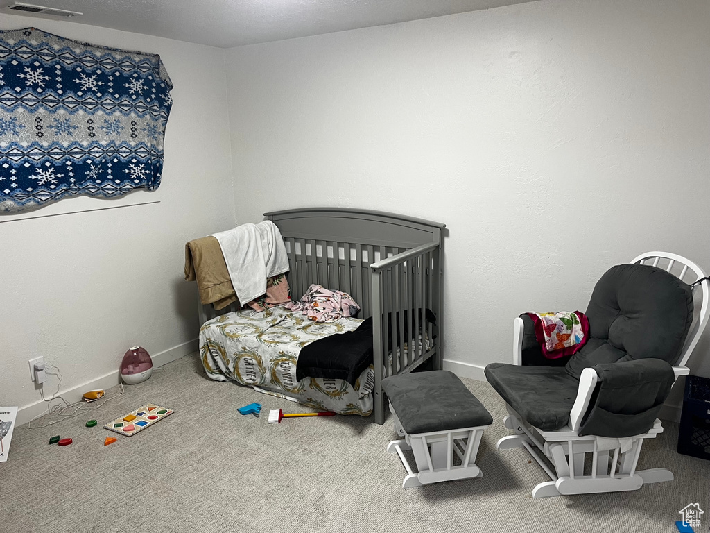 Carpeted bedroom with a nursery area