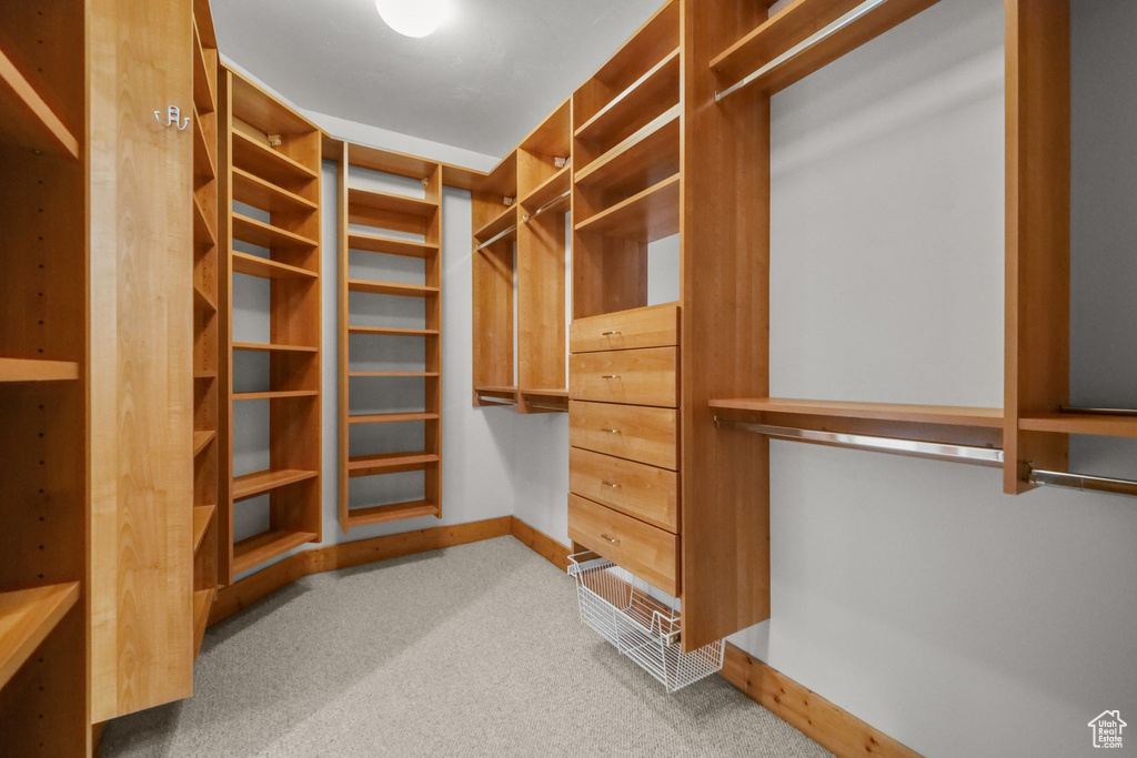 Walk in closet featuring carpet floors