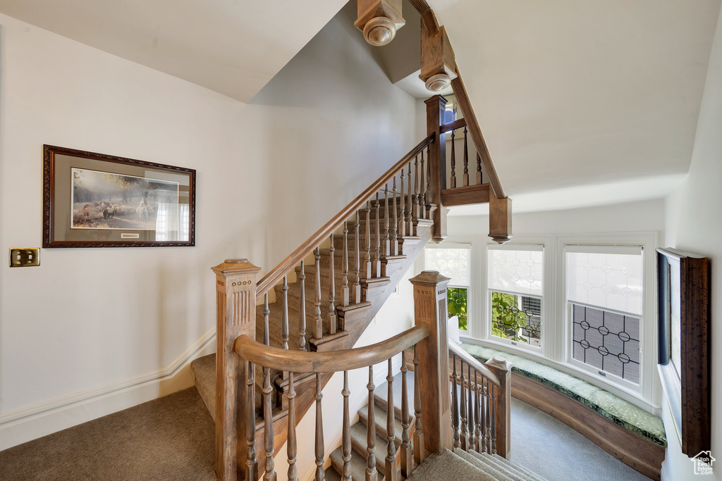 Stairway featuring carpet flooring