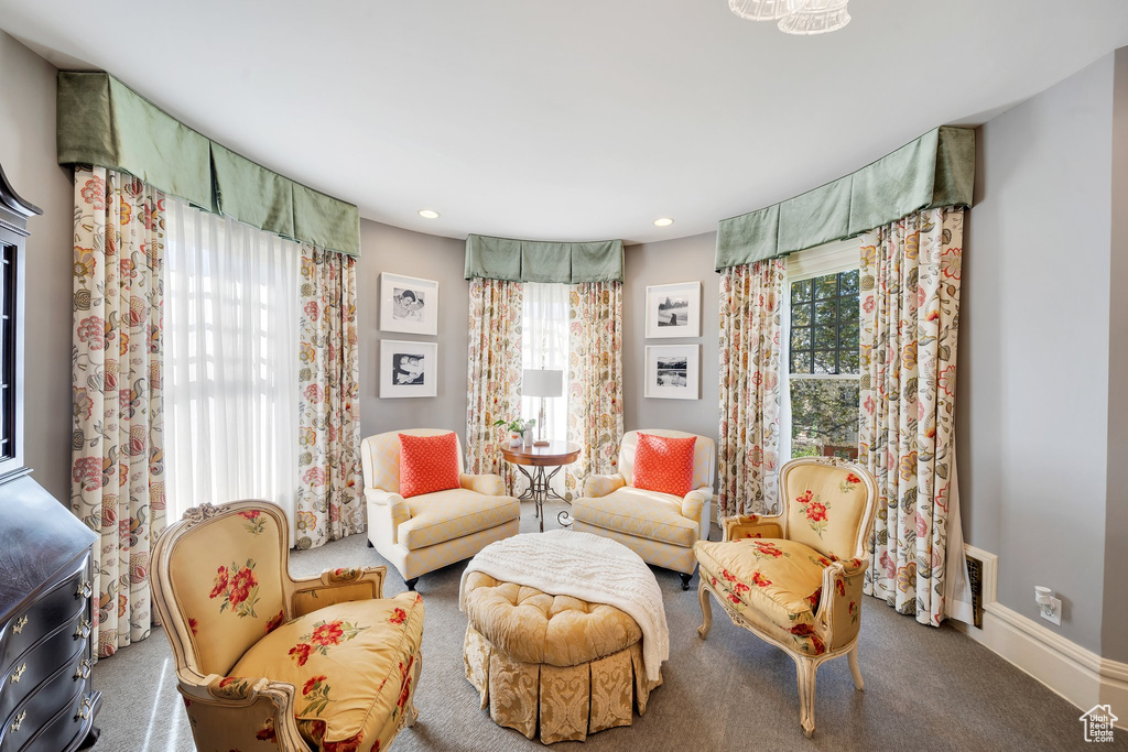 Living area featuring carpet and plenty of natural light