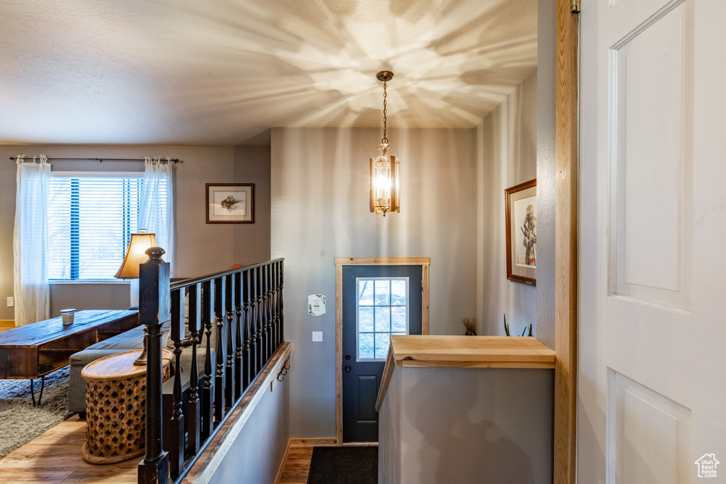 Foyer entrance with a healthy amount of sunlight and wood-type flooring