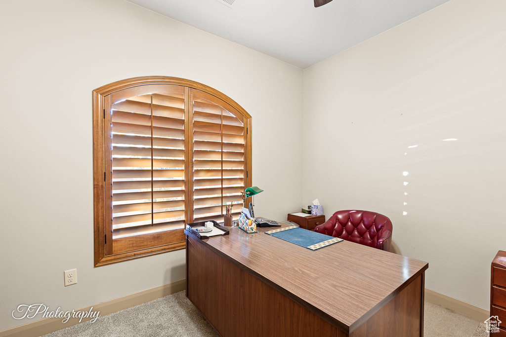 Office area with light carpet
