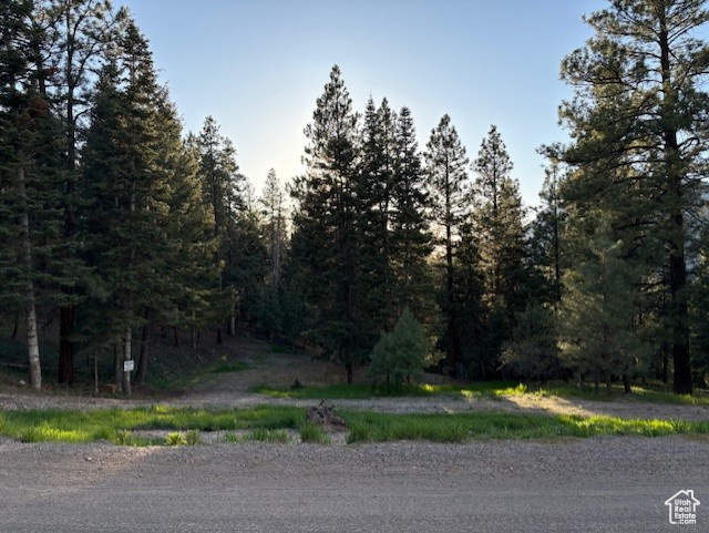 View of asphalt road featuring a view of trees
