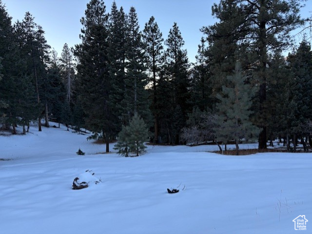 View of yard covered in snow