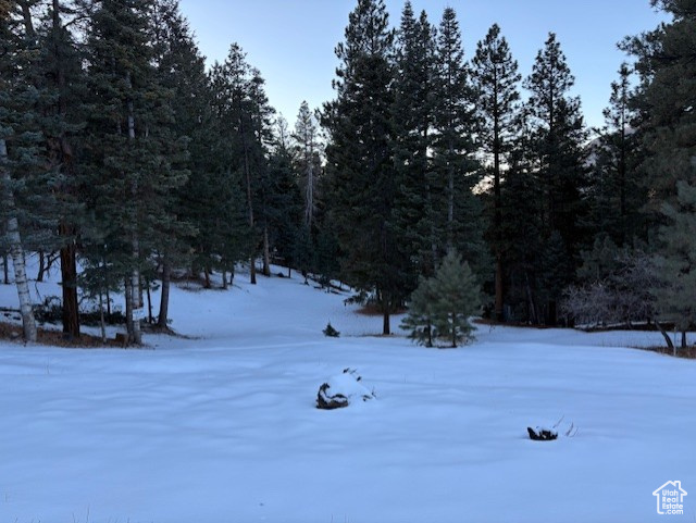 View of yard covered in snow