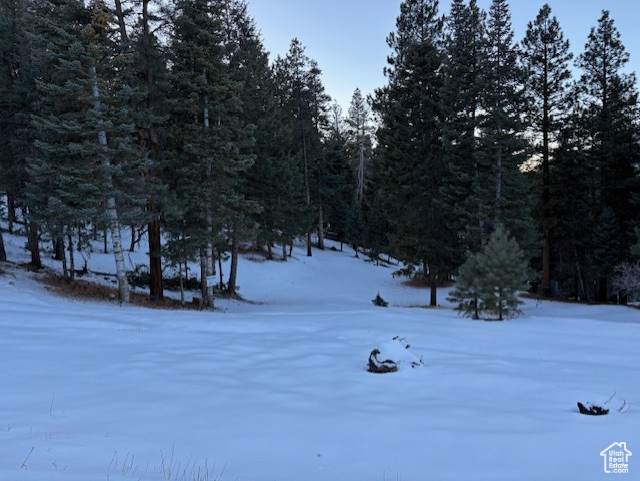 View of snowy yard