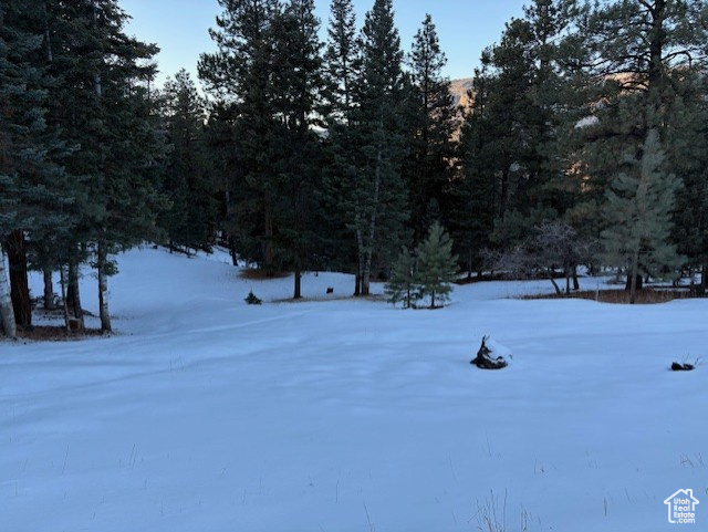 View of snowy yard