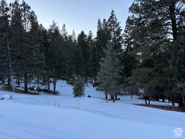View of snow covered land