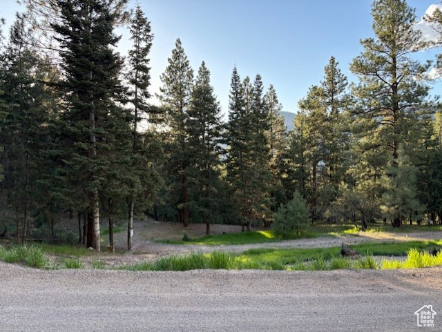 View of asphalt road featuring a wooded view