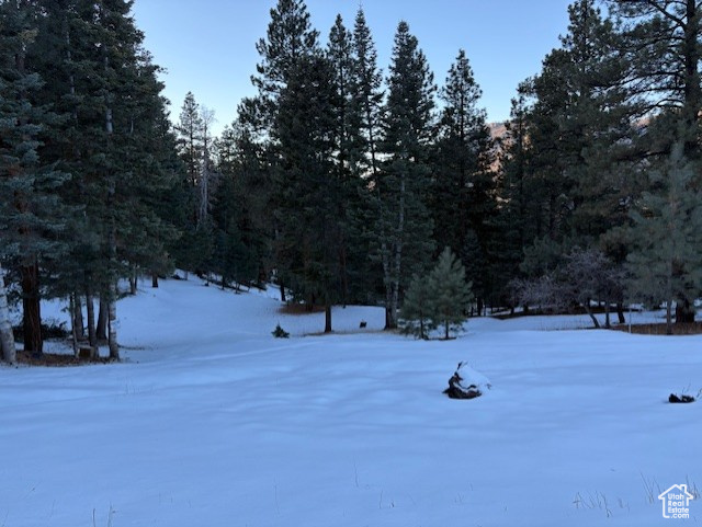 View of yard covered in snow