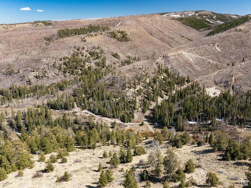 View of mountain background