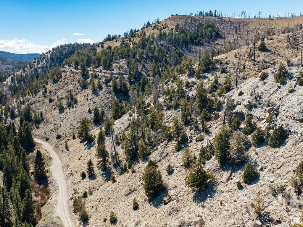 View of mountain background