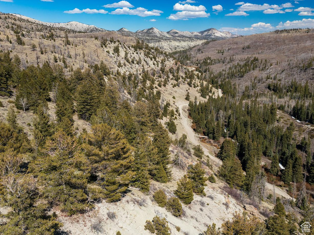 View of mountain backdrop with a heavily wooded area