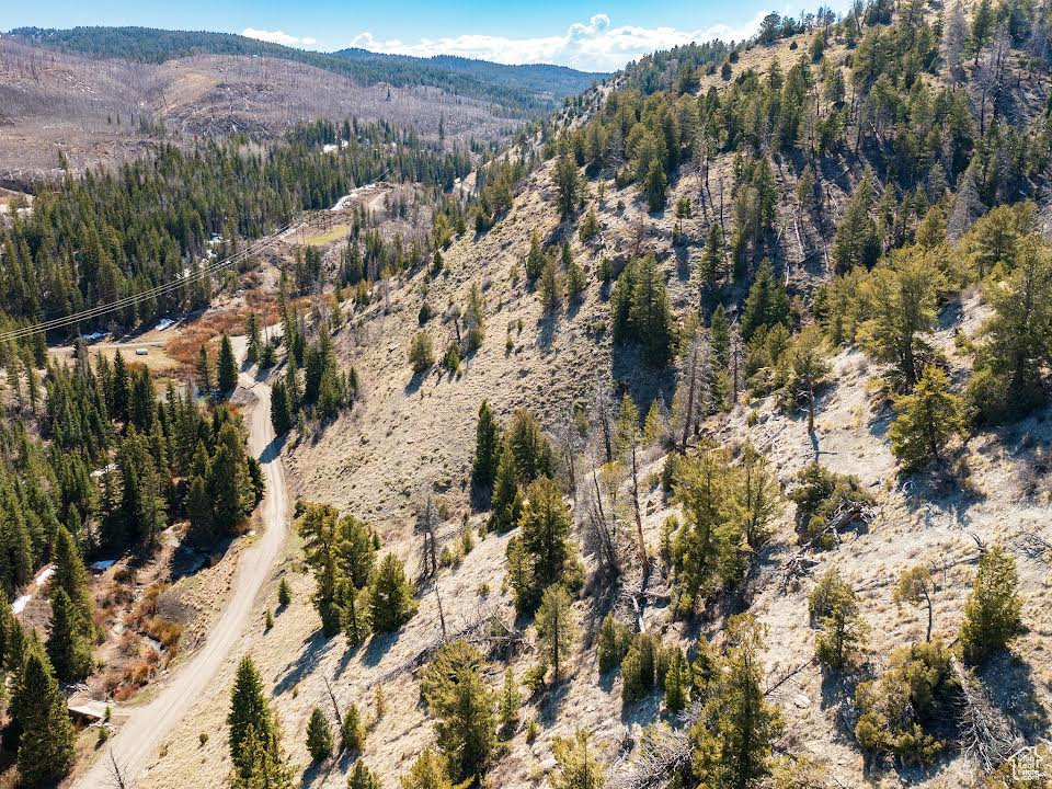 Aerial view of property\'s location with a mountain backdrop and a forest