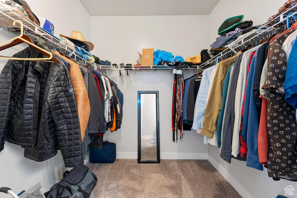 Walk in closet featuring carpet floors
