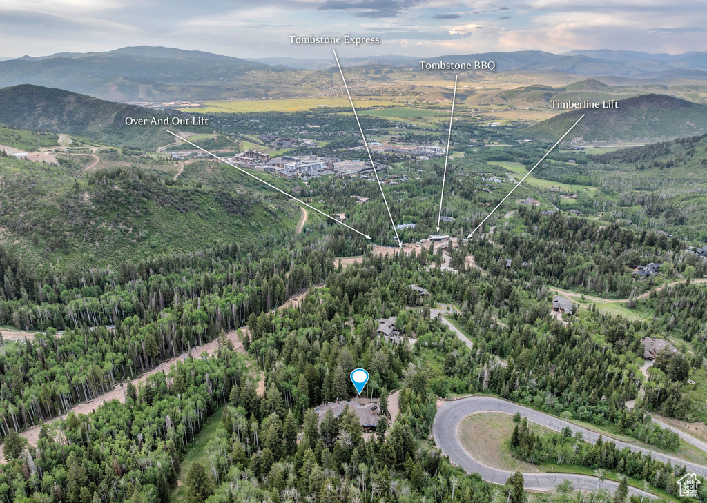 Bird's eye view of a mountainous background and a heavily wooded area